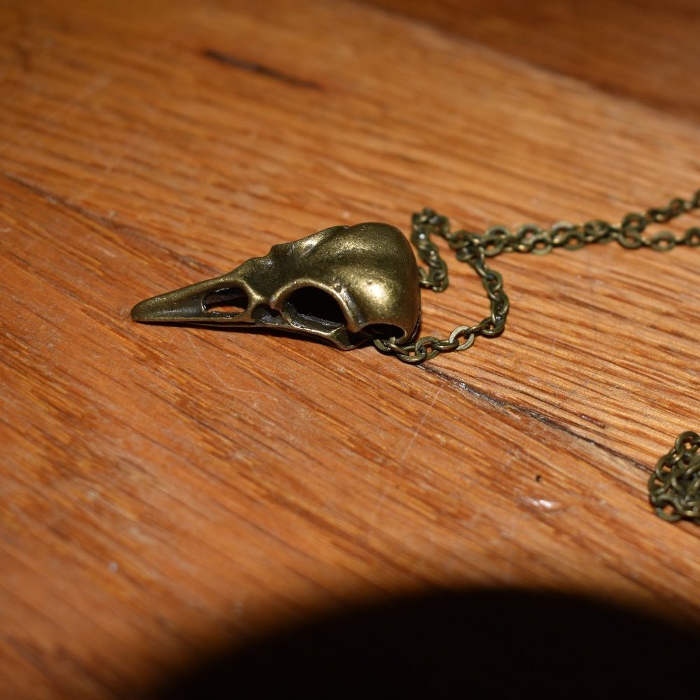 Bronze Raven skull necklace